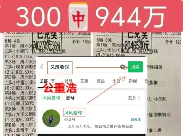 意甲001赔率解析:主胜低至1.50,博洛尼亚是否已无悬念?