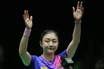 陈梦最新消息!比樊振东加盟德甲,还要让球迷激动