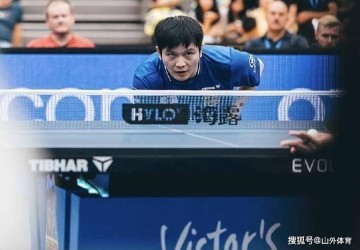 周六对决!樊振东3-0爆发,冲德甲首胜证实力